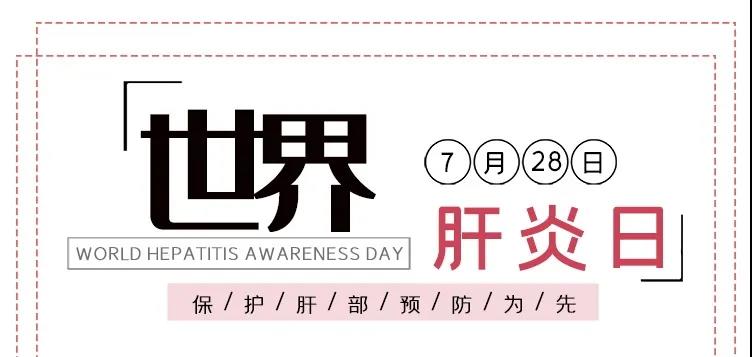 世界肝炎日——積極預(yù)防，主動檢測，規(guī)范治療，全面遏制肝炎危害！
